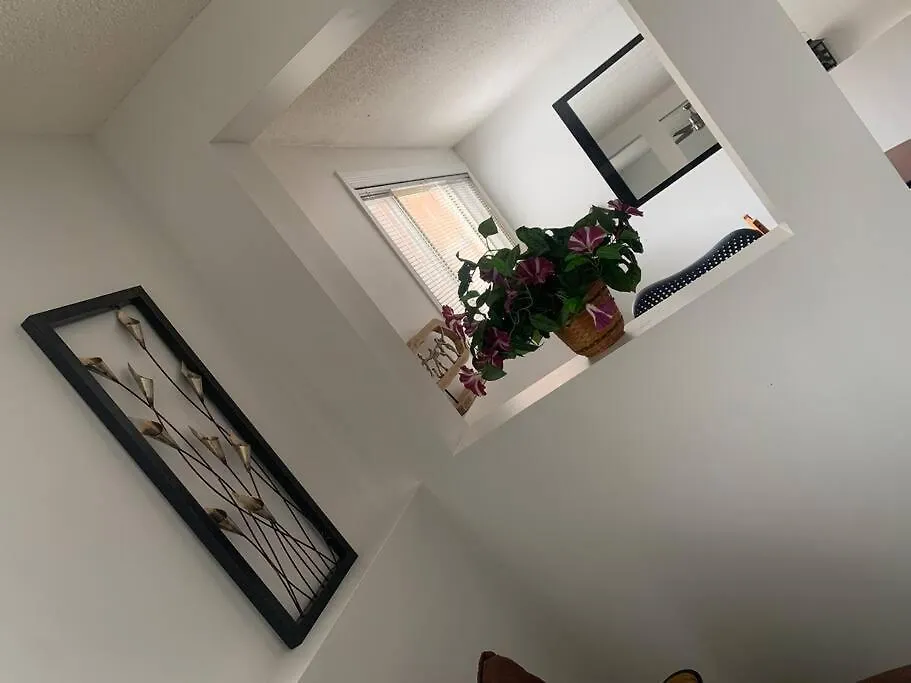 Apartment Lovely One Bedroom Calgary